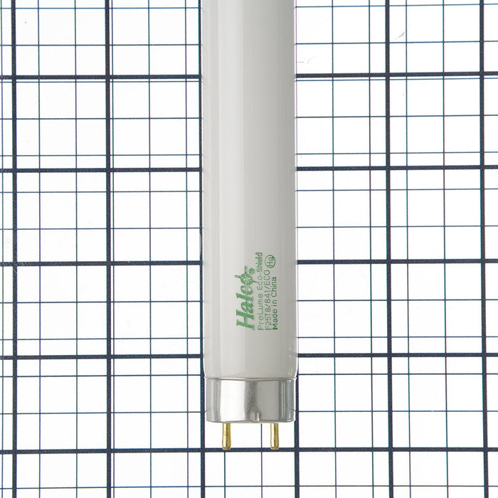 Halco F25T8/841/ECO 25 36 Inch Fluorescent T8 4100K 2140Lm 86 CRI Medium Bi-Pin G13 Base Tube (109810)