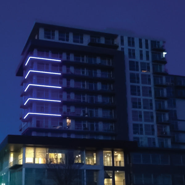 specialtyLED Flexible Border Tube White Color Jacket With Cool White 4500K LEDs 65 Foot Roll 24V (FBTCJ-WC-65-24V)