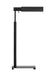 Generation Lighting Lauren Ralph Lauren Leonard 1-Light Small Task Floor Lamp In Aged Iron Finish (LT1181AI1)