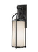 Generation Lighting Dakota Medium Lantern 120V Espresso (OL7601ES)