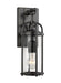 Generation Lighting Dakota Small Lantern 120V Espresso (OL7621ES)