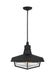 Generation Lighting Hollis Transitional 1-Light Outdoor Exterior Large Pendant Ceiling Hanging Lantern Light Textured Black-Clear Glass Shade (TO1021TXB)