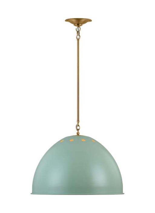 Generation Lighting Robbie Transitional 1-Light Indoor Dimmable Extra Large Pendant Ceiling Chandelier Light Eucalyptus-Steel Shade (TP1171EPSBBS)