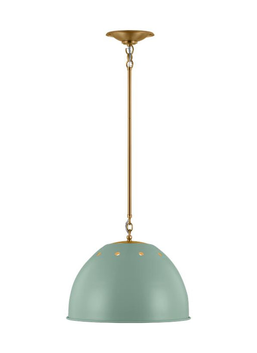 Generation Lighting Robbie Transitional 1-Light Indoor Dimmable Large Pendant Ceiling Chandelier Light Eucalyptus With Steel Shade (TP1181EPSBBS)