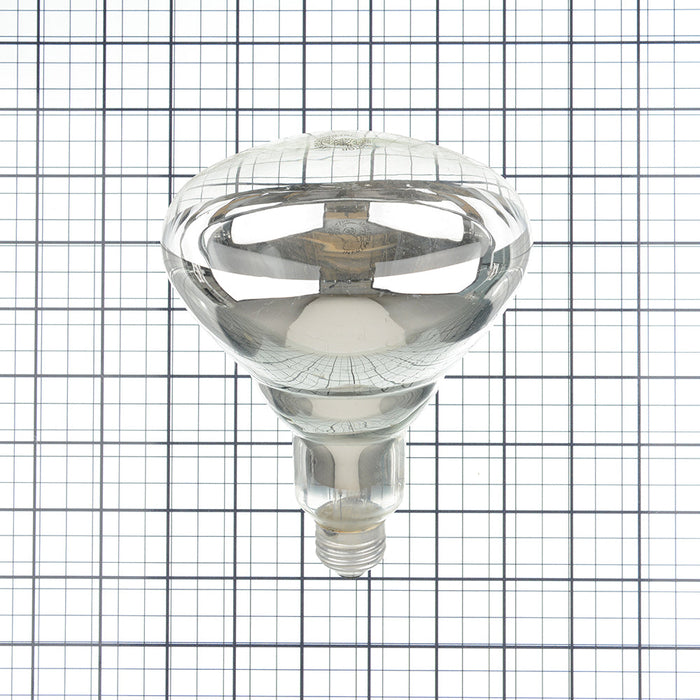 GE 250R40/1 6PK 120 Incandescent R40 Heat Lamp 250W 2200Lm 120V (37770)