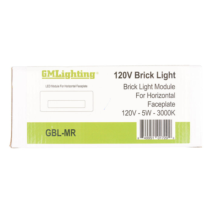 GM Lighting 120V Rough-In Housing For Horizontal Scoop Faceplate For LED Brick Light (GBL-MR)