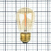 Green Creative 1FS14/820/A/R Wet Location Rated S14 E26 1W Filament 120V Amber (36078)