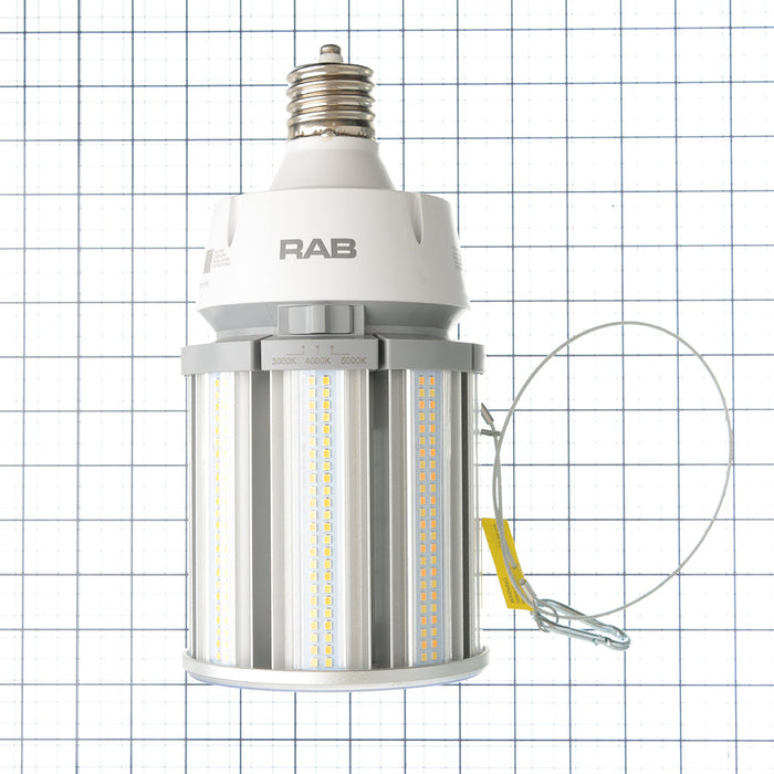 RAB HID Post Top 80 CRI Type B 100W CCT Selectable 3000K/4000K/5000K EX39 Base 277-480V (HID-100-EX39-8CCT-BYP/5SP/480V)