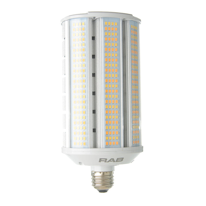 RAB Horizontal Lamp Field Adjustable CCT HID Wall Pack 80 CRI Type B 20W/30W/40W 3000/4000/5000K E26 Base (HIDFA-40S-H-E26-8CCT-BYP)