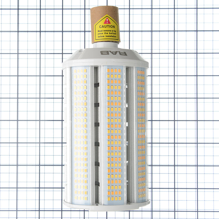 RAB Horizontal Lamp Field Adjustable CCT HID Wall Pack 80 CRI Type B 20W/30W/40W 3000/4000/5000K E26 Base (HIDFA-40S-H-E26-8CCT-BYP)