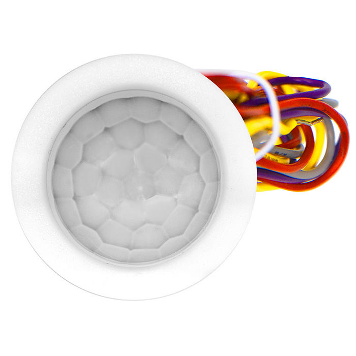 Leviton Solo PIR Occupancy Sensor With Daylight Harvesting Intellect 12-24Vdc (ZLS05-ILW)