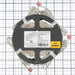GM Lighting LTR-P Pro Series 3.0W LED Tape 24VDC 16 Foot-4 Inch [5M] 251Lm Per Foot 4000K (LTR-P-24V-3.0W-40K-16)