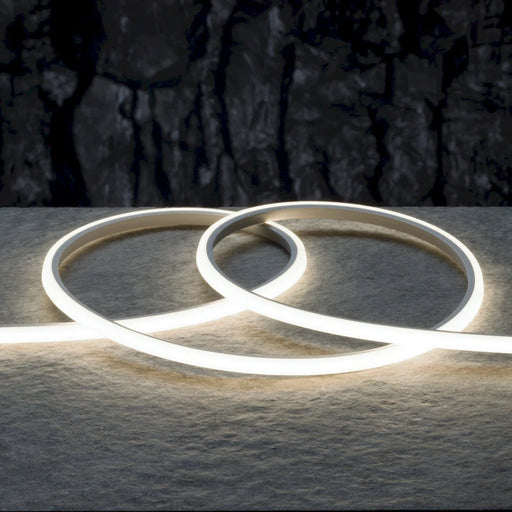 American Lighting 6Mm X 6Mm COB Neon 16.4 Foot Reel 4000K 24V DC 4 Foot Lead And 4 Foot Tail (MIN6X6-40K-16)