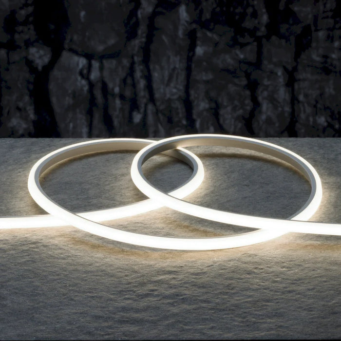 American Lighting 6Mm X 6Mm COB Neon 16.4 Foot Reel 4000K 24V DC 4 Foot Lead And 4 Foot Tail (MIN6X6-40K-16)