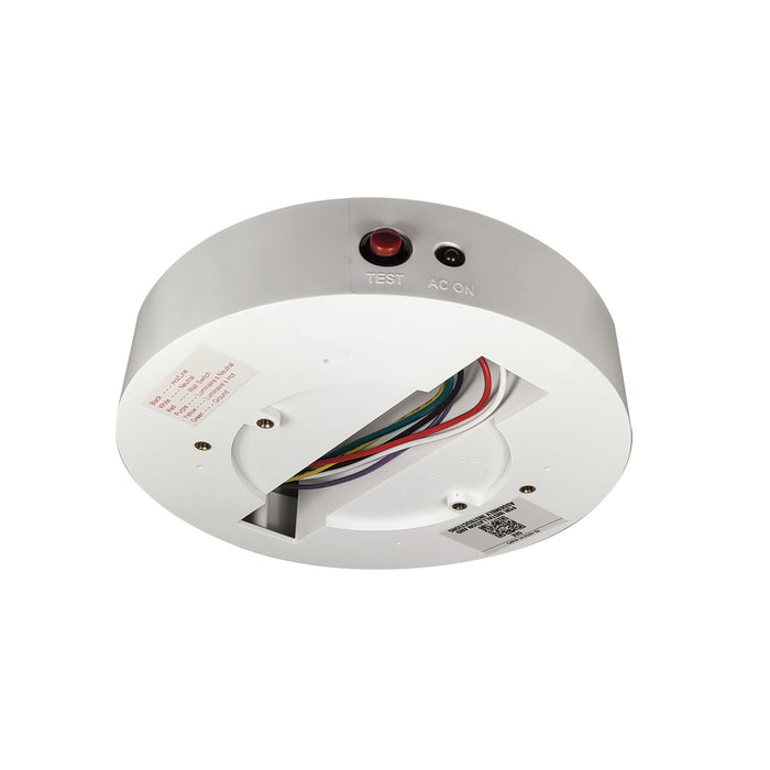 Nora Enclosure With Emergency Driver For 6 Inch ELO (NSEM-6WDW)
