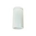 Nora 6 Inch Cobalt Surface Mount Cylinder White 1000Lm 4000K White/White Reflector 120V Triac/ELV Dimming (NYLD2-6S10140WWW)
