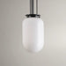 Progress Lighting Alisse Collection One-Light LED Pendant Light Matte Black (P500476-31M)