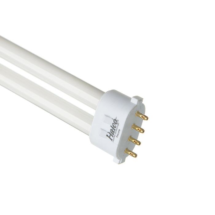 Halco PL13S/E/50/ECO Compact Fluorescent 13W 120V 5000K 800Lm 2GX7 Base Dimmable Single Tube Prolume Bulb (109140)