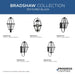 Progress Lighting Bradshaw Collection One-Light Post Lantern Outdoor Fixture Black (P540107-031)