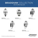 Progress Lighting Bradshaw Collection One-Light Hanging Lantern Outdoor Fixture Black (P550138-031)