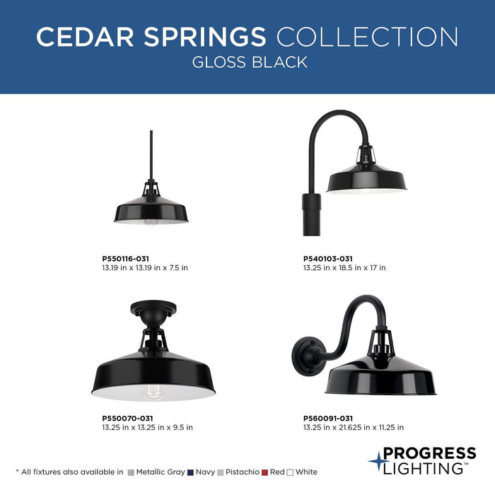 Progress Lighting Cedar Springs Collection One-Light Post Lantern Outdoor Fixture Black (P540103-031)