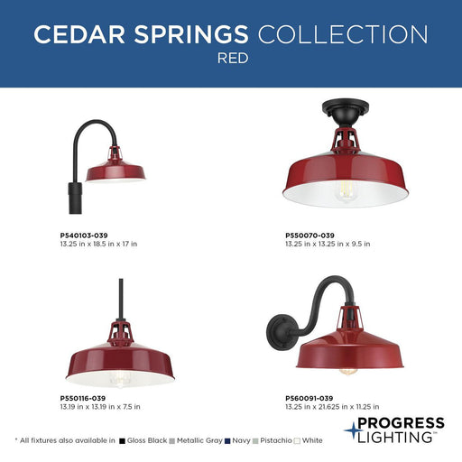 Progress Lighting Cedar Springs Collection One-Light Post Lantern Outdoor Fixture Red (P540103-039)