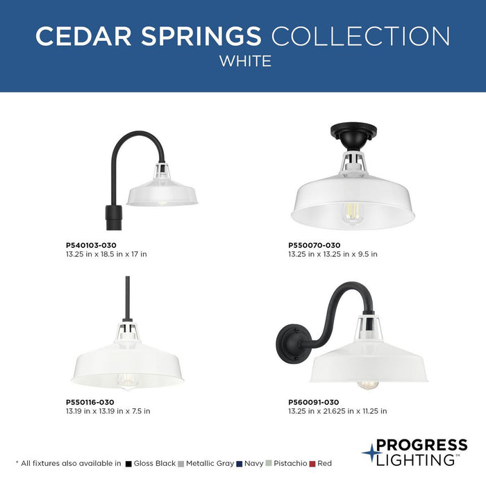 Progress Lighting Cedar Springs Collection One-Light Post Lantern Outdoor Fixture White (P540103-030)