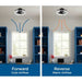 Progress Lighting Burnett Collection Ceiling Fan Matte Black (P250116-31M-30)