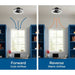 Progress Lighting Fanin Collection 20 Inch Ceiling Fan Matte Black (P250114-31M-30)
