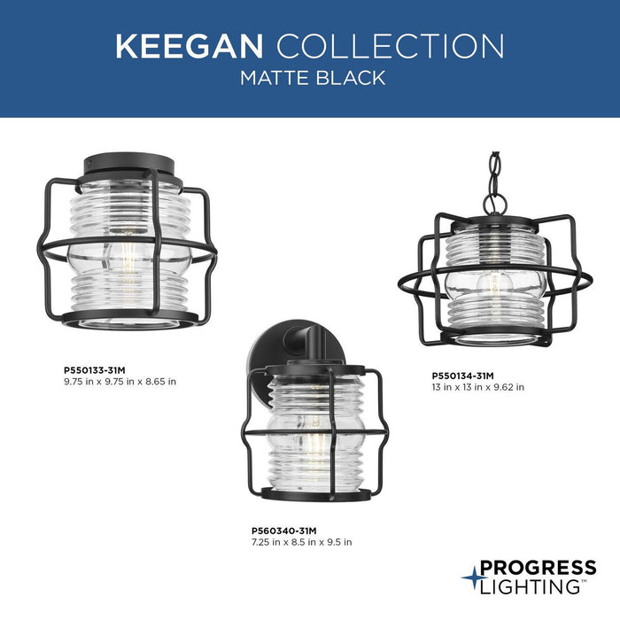 Progress Lighting Keegan Collection One-Light Flush Mount Outdoor Fixture Matte Black (P550133-31M)