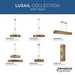Progress Lighting Lusail Collection Eight-Light Linear Chandelier Soft Gold (P400369-205)
