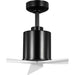 Progress Lighting Paso Collection 3-Blade 60 Inch Ceiling Fan Black (P250109-031)