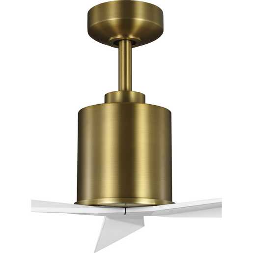 Progress Lighting Paso Collection 3-Blade 60 Inch Ceiling Fan Vintage Brass (P250109-163)