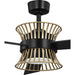 Progress Lighting Bisbee Collection 3-Blade 55 Inch Ceiling Fan Matte Black (P250110-31M-30)