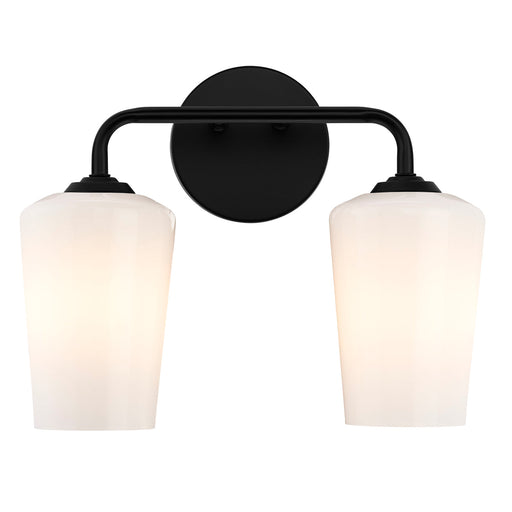 Progress Lighting 94300543031 Celino Collection 2-Light Bath And Vanity Fixture Black With White Glass Shades (P300543-031)