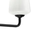 Progress Lighting 94300544031 Celino Collection 3-Light Bath And Vanity Fixture Black With White Glass Shades (P300544-031)