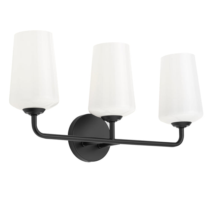 Progress Lighting 94300544031 Celino Collection 3-Light Bath And Vanity Fixture Black With White Glass Shades (P300544-031)