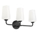 Progress Lighting 94300544031 Celino Collection 3-Light Bath And Vanity Fixture Black With White Glass Shades (P300544-031)