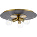 Progress Lighting Trimble Collection Three-Light Flush Mount Close-To-Ceiling Fixture Brushed Bronze (P350248-109)