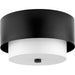 Progress Lighting Silva Collection Two-Light Flush Mount Close-To-Ceiling Fixture Matte Black (P350249-31M)