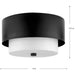 Progress Lighting Silva Collection Two-Light Flush Mount Close-To-Ceiling Fixture Matte Black (P350249-31M)