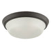 Progress Lighting 94350304020 Edessa Collection 16 Inch 2-Light Large Flush Mount Light Antique Bronze With White Glass Shade (P350304-020)