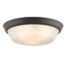 Progress Lighting 94350304020 Edessa Collection 16 Inch 2-Light Large Flush Mount Light Antique Bronze With White Glass Shade (P350304-020)