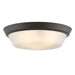 Progress Lighting 94350304020 Edessa Collection 16 Inch 2-Light Large Flush Mount Light Antique Bronze With White Glass Shade (P350304-020)