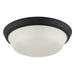Progress Lighting 94350304031 Edessa Collection 16 Inch 2-Light Large Flush Mount Light Black With White Glass Shade (P350304-031)