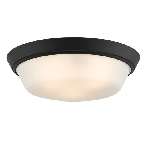 Progress Lighting 94350304031 Edessa Collection 16 Inch 2-Light Large Flush Mount Light Black With White Glass Shade (P350304-031)