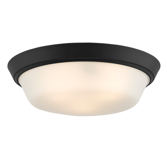 Progress Lighting 94350304031 Edessa Collection 16 Inch 2-Light Large Flush Mount Light Black With White Glass Shade (P350304-031)