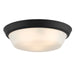 Progress Lighting 94350304031 Edessa Collection 16 Inch 2-Light Large Flush Mount Light Black With White Glass Shade (P350304-031)