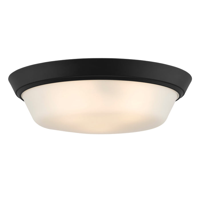 Progress Lighting 94350304031 Edessa Collection 16 Inch 2-Light Large Flush Mount Light Black With White Glass Shade (P350304-031)