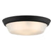 Progress Lighting 94350304031 Edessa Collection 16 Inch 2-Light Large Flush Mount Light Black With White Glass Shade (P350304-031)